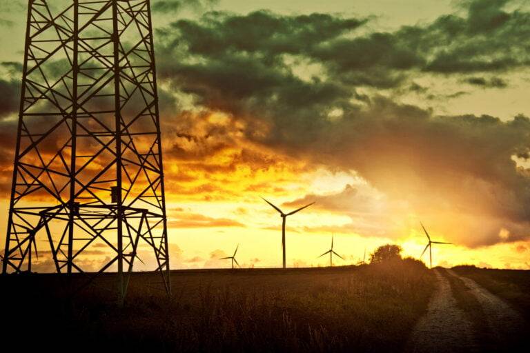 windmills on the field.